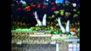 Europe MapleStory v.0.61 - [Graphic Issue] Screen Freezing every 15 Secs.