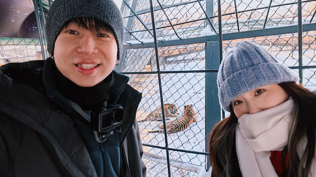 2025.12 Harbin (Part 1: 东北虎林园 & 冰雪大世界 day view)