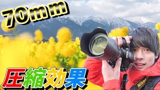 [Standard zoom] 70mm is enough! We will tell you about the charm of the compression effect.