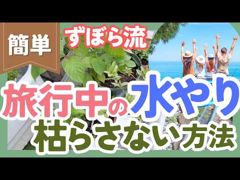 旅行中の水やり問題を解決！7つの方法でしおれを防ぐ