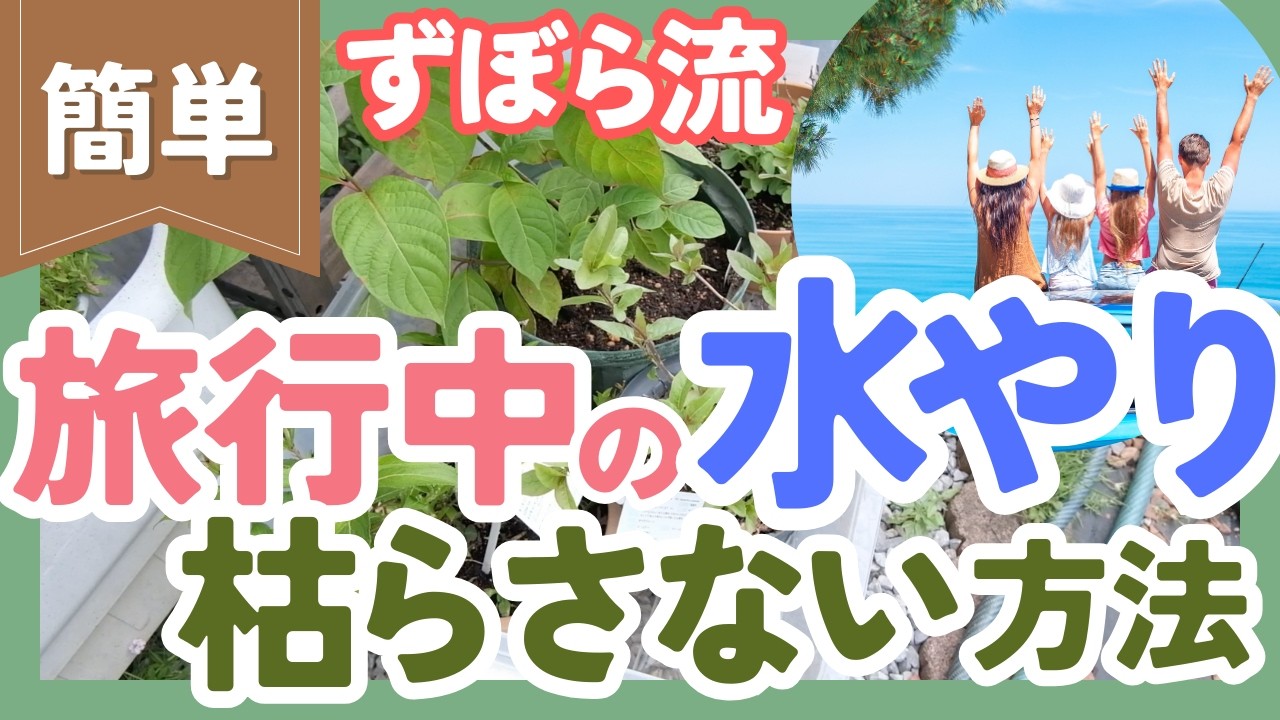 【超簡単】旅行中の水やり🚿不在時に枯らさないコツ❗️1泊編・2泊以上編それぞれ解説！