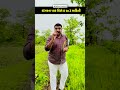 ડાંગરના પાક વિશે આટલું નથી જાણતા? 🤔 | Gramsevak Exam Special #gramsevak #shorts