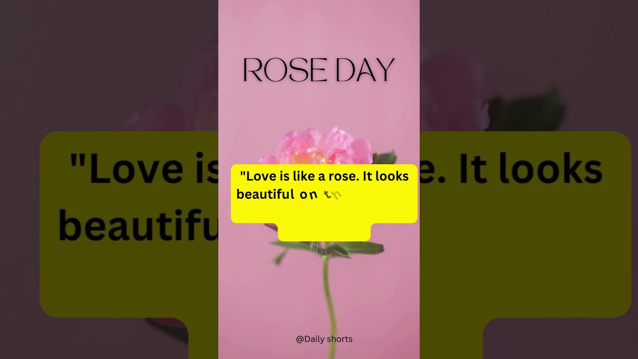 Rose day 