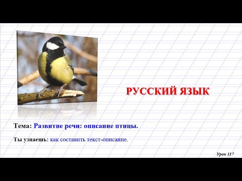 Урок 117 русский язык 3 класс. Узнай птицу по описанию. Как понять язык птиц.