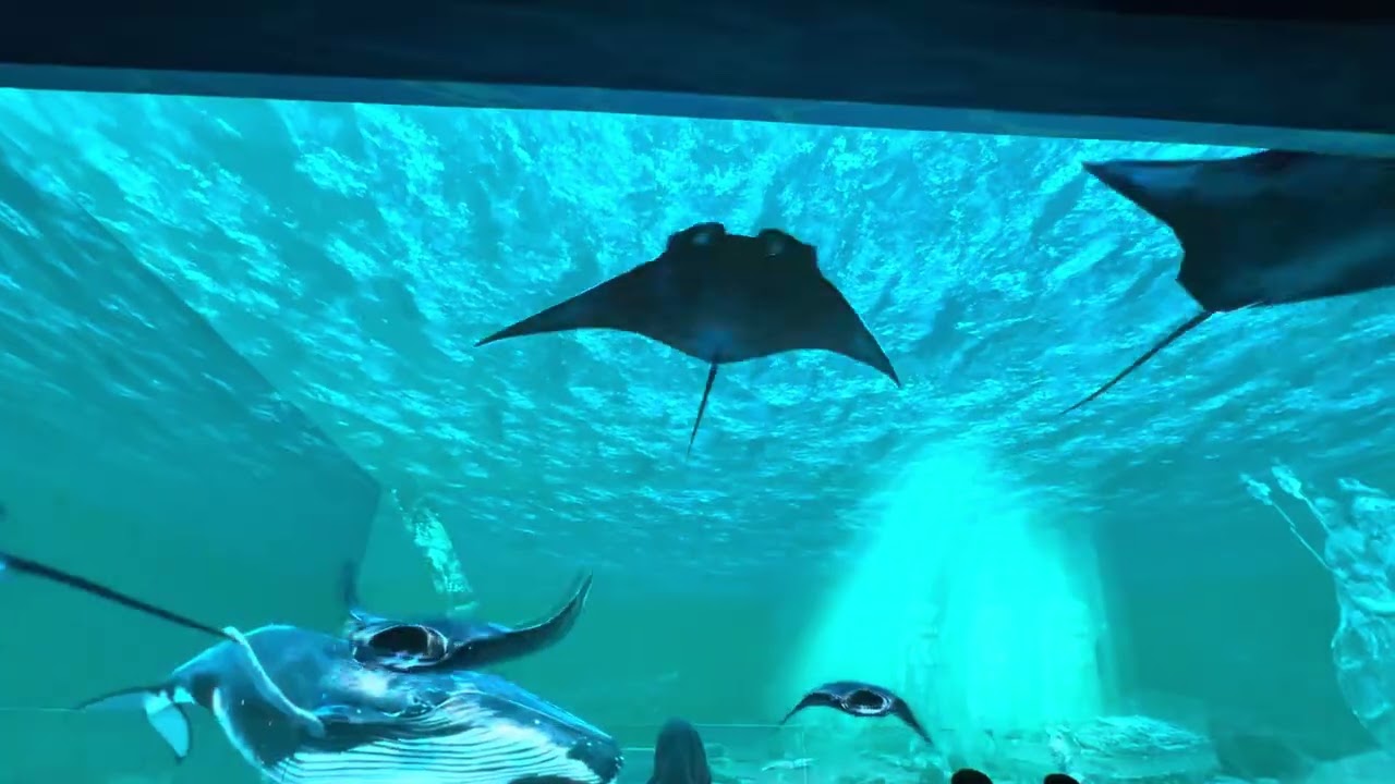 METAVERSE GLASS THEATER JATIM PARK 2 