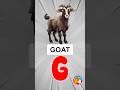 G for Goat 🐐 | ABC Learning for Kids | Alphabet G Words | Kids Education Shorts