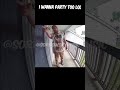 Neighbor Came to Ring Camera "I Wanna Party Too" #funny #comedygold #viral #foryou #shorts #fyp