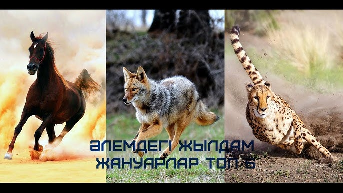 Бетті Алексис Техас Меган Монро мен оның жігітін трахает