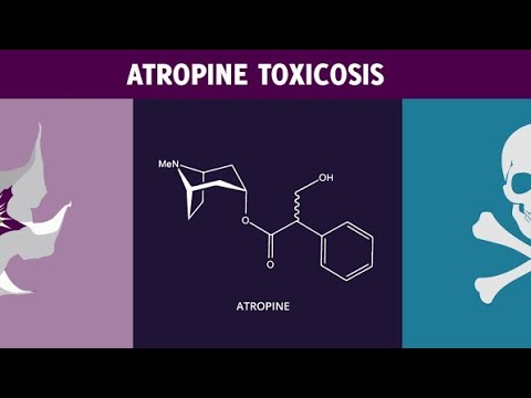 glutathione for atropine toxicity Cholinesterase Inhibitors: Part 4 - Section 11 Management Strategy 3: Medications | Environmental Medicine Atropine (Tropine tropate) | mAChR
