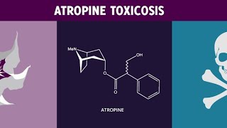 go tan 1000 glutathione tablet Getting enough Glutathione through food isnt easy  especially since  cooking can lower its effectiveness. For visible results, try Go Tan-1000  Glutathione tablets. , Powerful Antioxidant: Shields