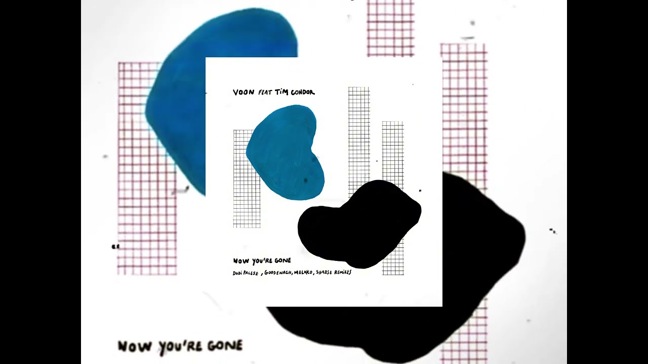 Voon feat Tim Condor - Now You're Gone (Roman Shazse Remix) @Nsha.music