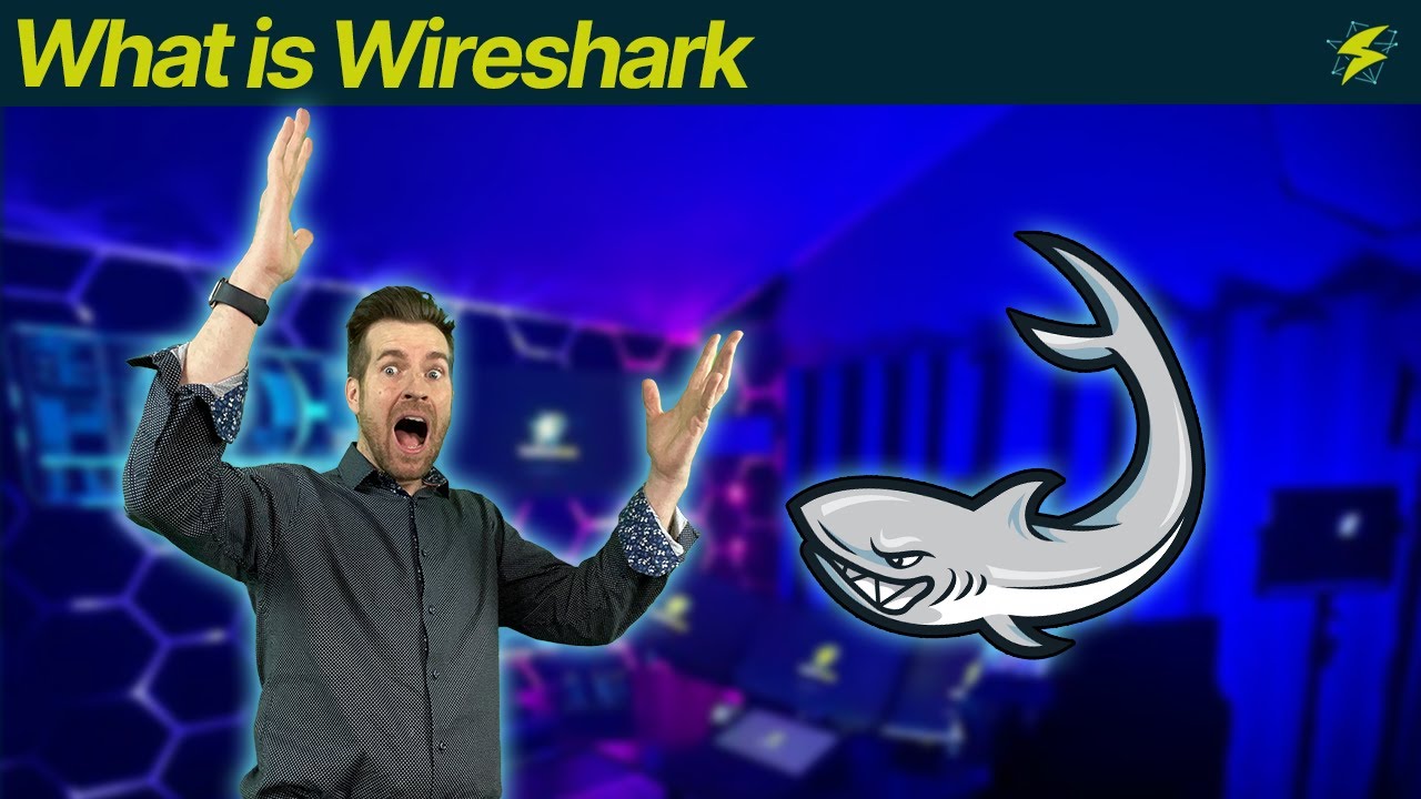 Введение в Wireshark 1-1: Что такое Wireshark