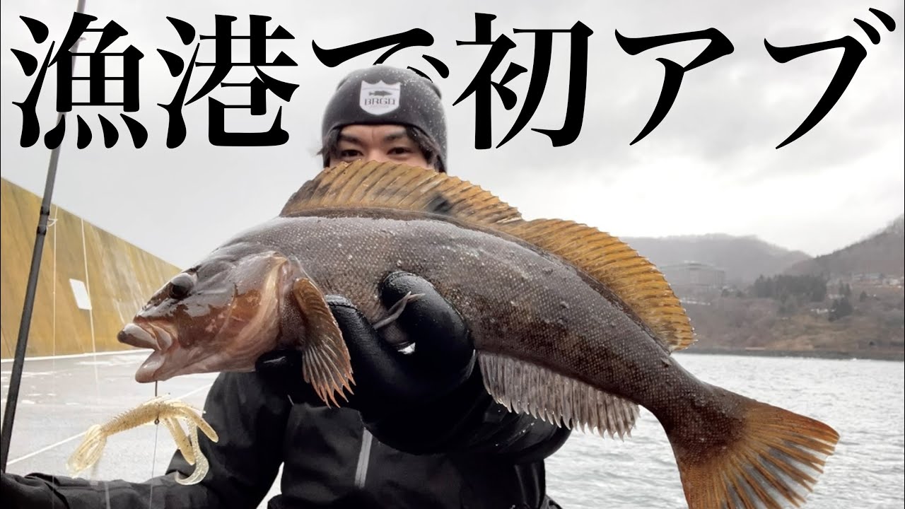First black porgy of 2024 at fishing port - YouTube