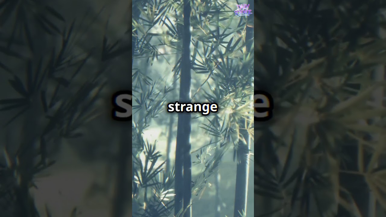 "Myth or Reality? Unraveling the Legend of the Opium Bird" 