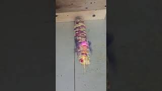 Oddly Satisfying Laser Burning Experiment 🌽✨