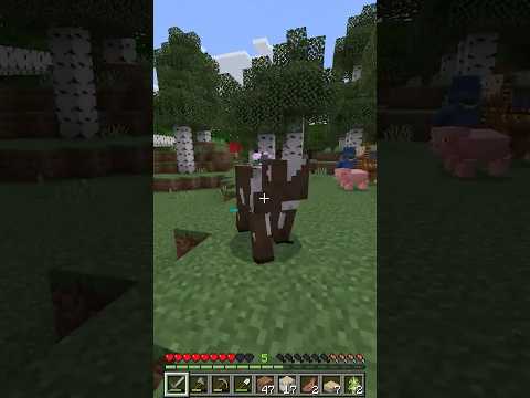 Weird things are happening in my world