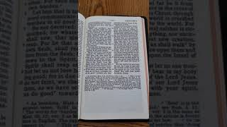 Bibles-etc.com Darby Translation Bible Review. One of the Best Value Bibles in Print