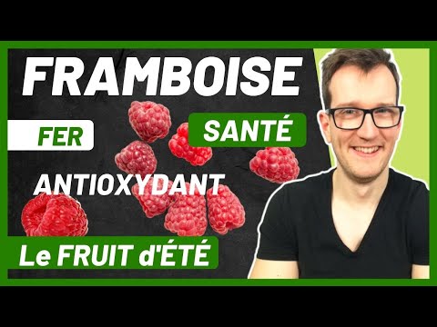 Raspberries: Everything You Need to Know!