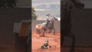 #gado #cavalo #proverbs #fazenda #mercadoagricola #doma #vidanaroça #agro #sabiadocampo