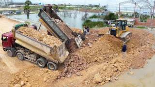Full Land Reclamation Project Operating By Big Shantui Bulldozer Pouring Soil level The Ground