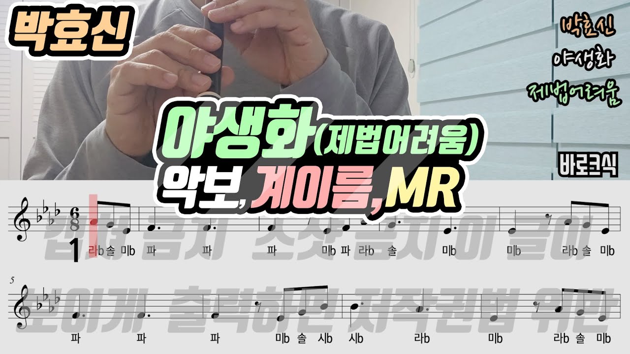 박효신 - 야생화 악보 리코더 연주(제법어려움)