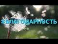 Благодарность - стихи для души