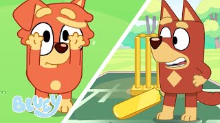 rusty hits his little sister a catch bluey season 3 highlight cricket bluey