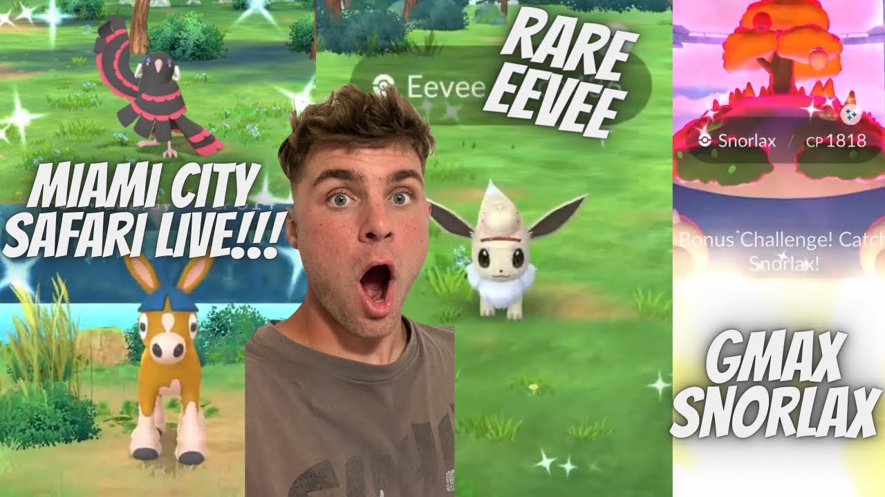 ✨Shiny MUDBRAY Hunt, RARE Safari Eevee and GMAX Snorlax at Miami City Safari LIVE In Pokemon Go!✨