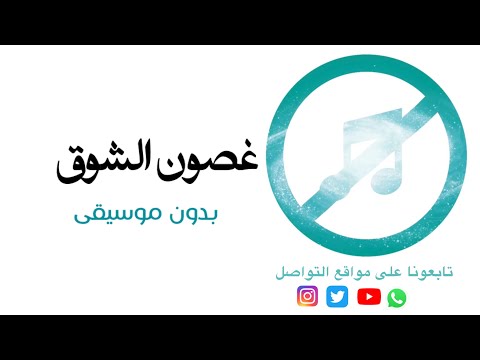 كلمات اغنية تسولف عبرتي