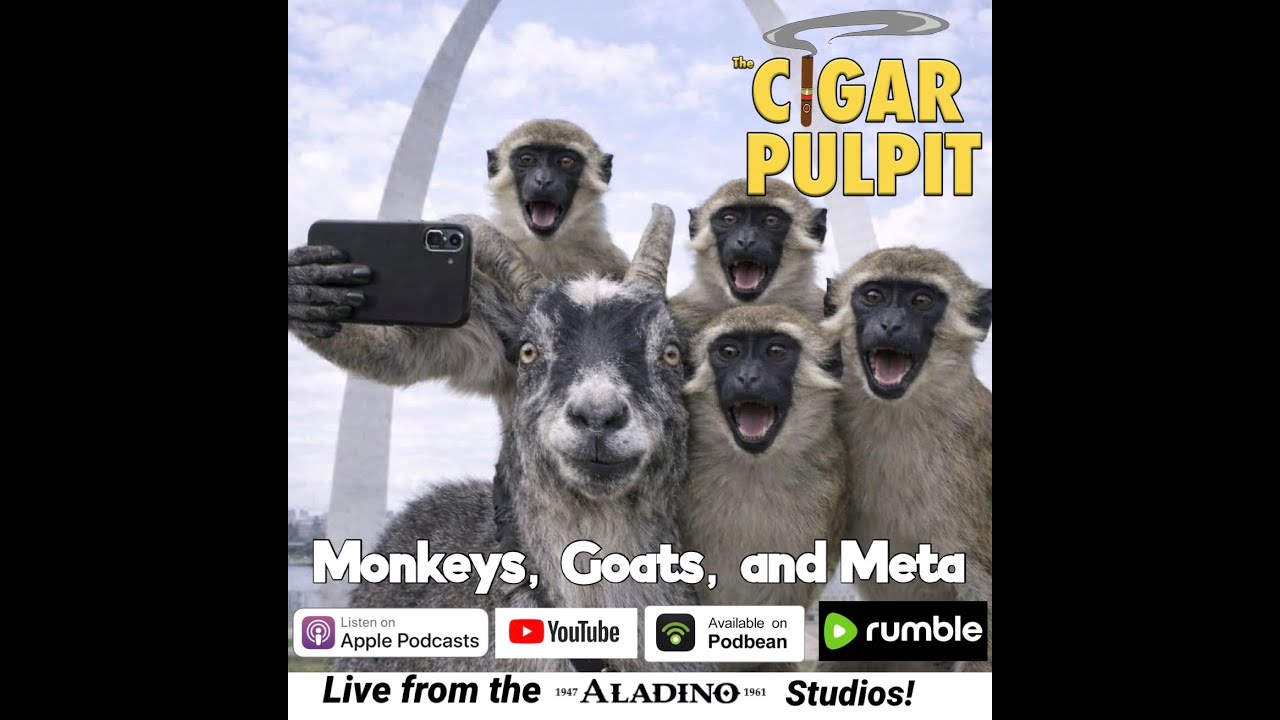 Monkeys, Goats, and Meta