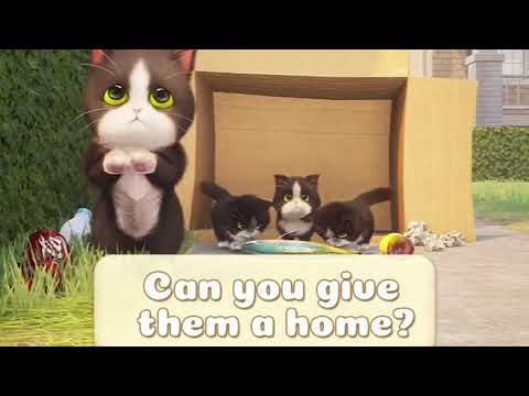 Видео: Have a  time with cute kitties【Kitten Match】ep161 1