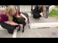 "Sophie" recovering after gunshot wound to head