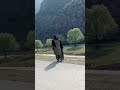Mountain Tour|Bike Rider