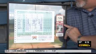 Celebrity The Trip Wealth