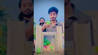 Ball Game, Guess The Color Viral Video