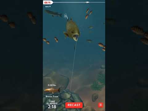 Rapala Fishing - Captura Diária