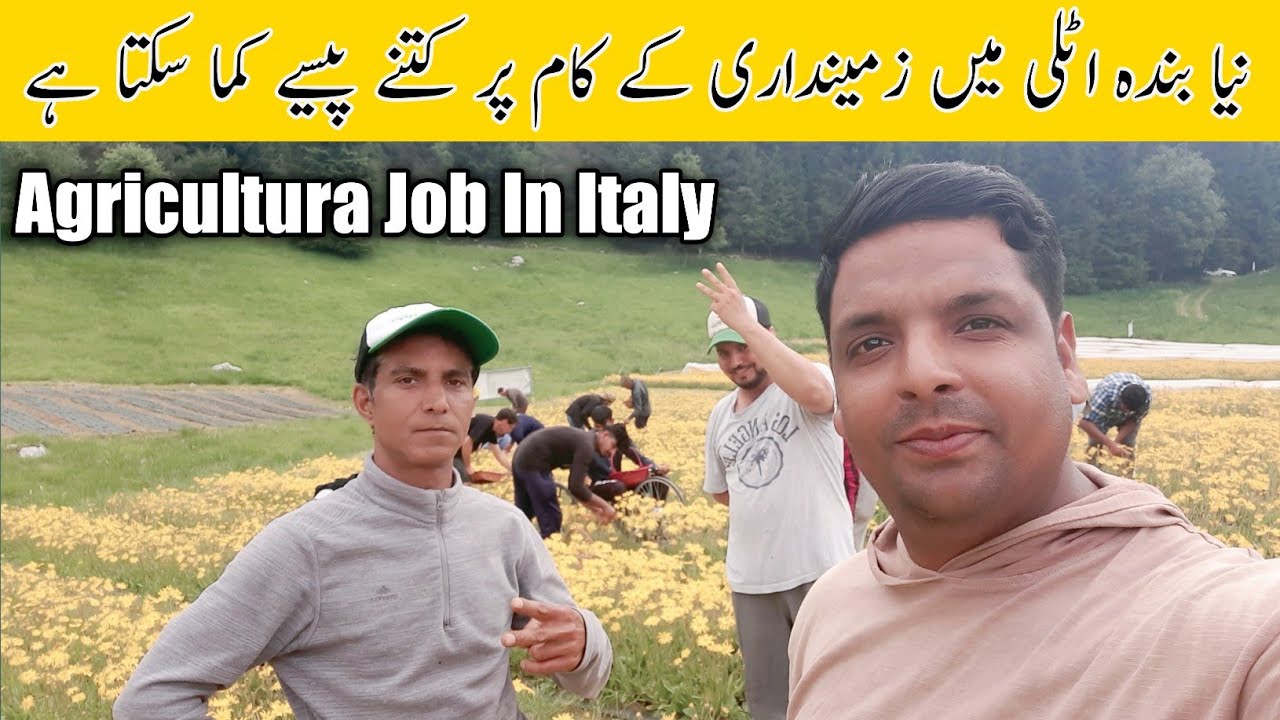 Agricultura Job in Italy seasonal visa job in Italy Agriculture job