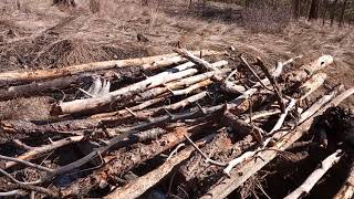 Sasquatch Interior B.C.  Very large pit structure