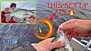 Slip-Bobber Setup CATCHES SLABS!! #fishing #crappie #outdoors by FishBrain Shane 297 views 2 weeks ago 8 minutes, 8 seconds