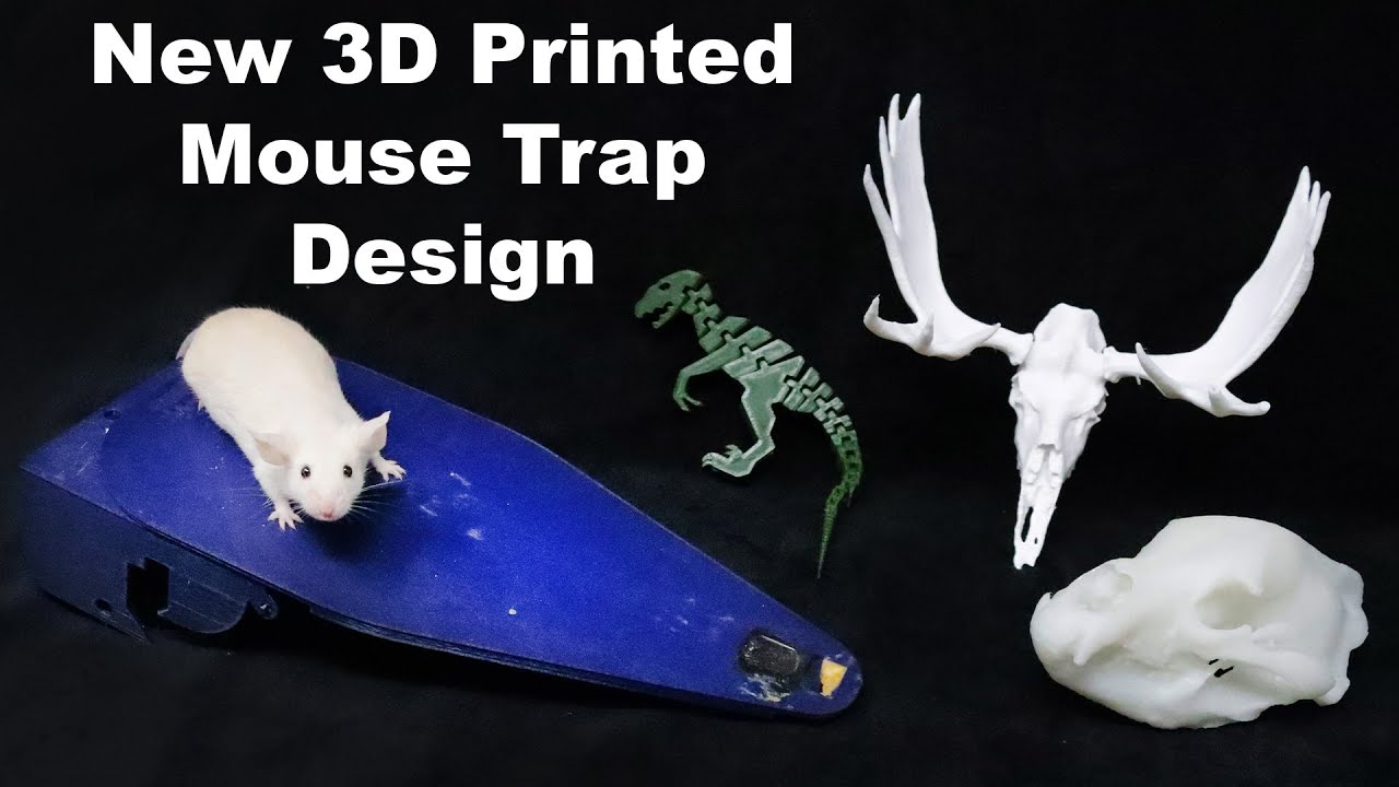 Awesome 3d Printed Walk The Plank Mouse Trap. Mousetrap Monday