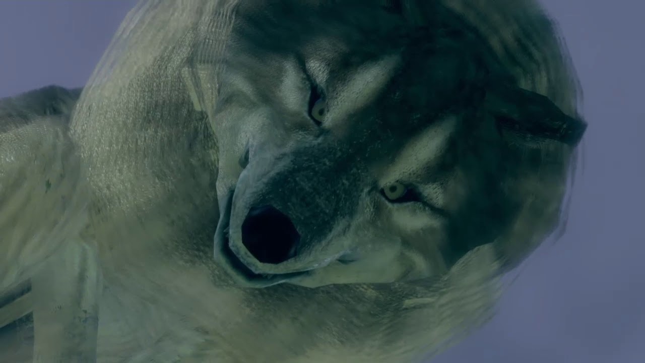 Sif, El Gran Lobo Gris* YouTube Sif, El Gran Lobo Gris* YouTube