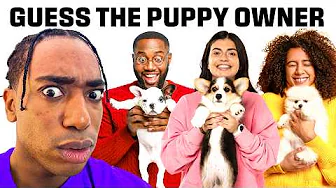 youtube recommendation