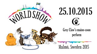 Всемирная выставка кошек Fife World Show 25 октября 2015г Malmö, Sweden www.coonplanet.ru