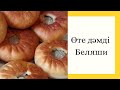 Өте дәмді,оңай беляши жасау/пісіру/қазақша рецепт