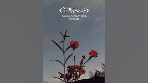 #سورة الأعراف (وَالَّذِينَ آمَنُوا وَعَمِلُوا الصَّالِحَاتِ لَا نُكَلِّفُ نَفْسًا إِلَّا وُسْعَهَا)