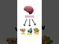 Good Food= Better Function, More Energy, Strong Body #liver #lungs #brain #blood #eyes #beetroot