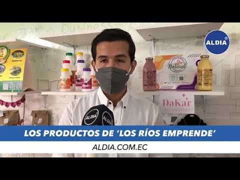 Resultados de los emprendedores de Los Ríos Emprende.