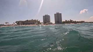 Vero Beach when the Atlantic had incredible snorkeling