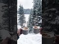 Cozy Winter Coffee Moment ❄️☕ | Relaxing Snowy View