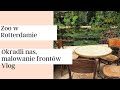 Wyjazd do Zoo w Rotterdamie, Okradli nas, Malowanie frontów kuchennych - Vlog